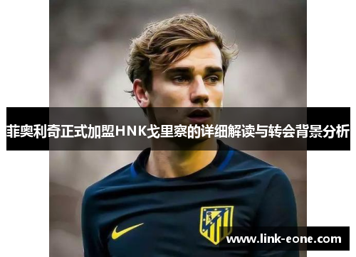菲奥利奇正式加盟HNK戈里察的详细解读与转会背景分析