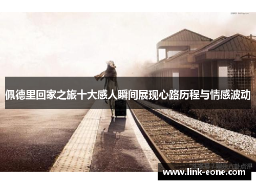 佩德里回家之旅十大感人瞬间展现心路历程与情感波动