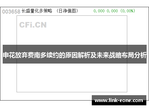 申花放弃费南多续约的原因解析及未来战略布局分析