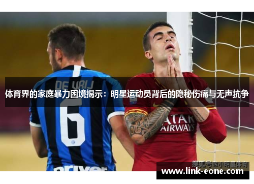 体育界的家庭暴力困境揭示：明星运动员背后的隐秘伤痛与无声抗争