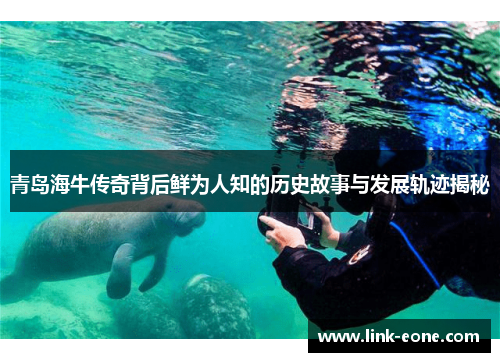青岛海牛传奇背后鲜为人知的历史故事与发展轨迹揭秘